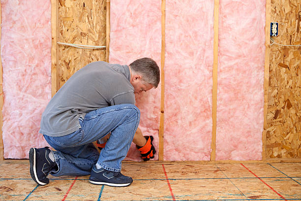 Best Types of Insulation in Wye, MT