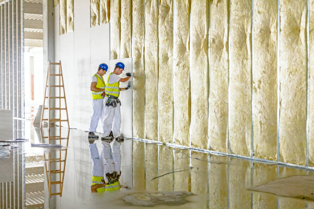 Professional Insulation Contractor in MT